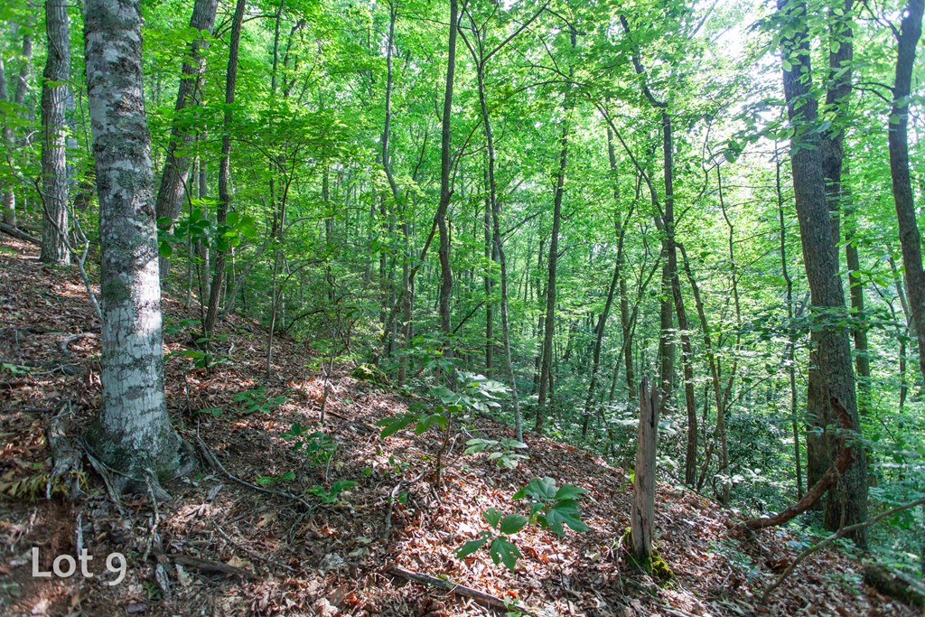 1200 Tobacco Branch Road Property Photo 38