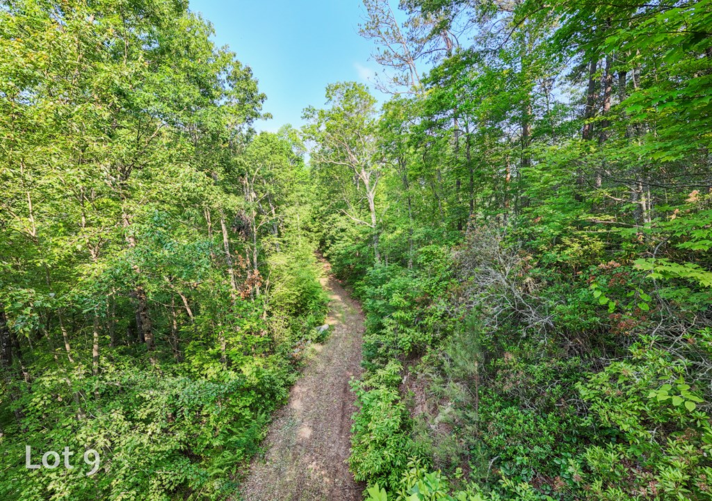 1200 Tobacco Branch Road Property Photo 39