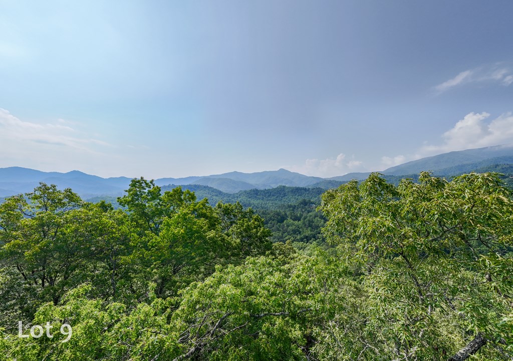 1200 Tobacco Branch Road Property Photo 40