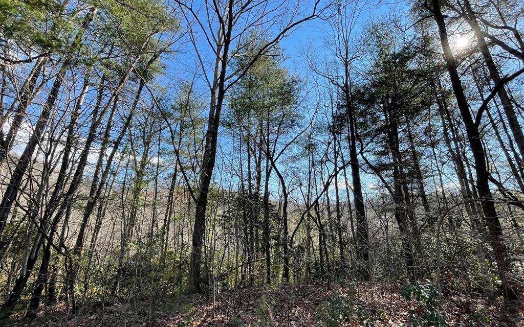 Lot 42 Granite Drive-fires Creek Cove Property Photo 1