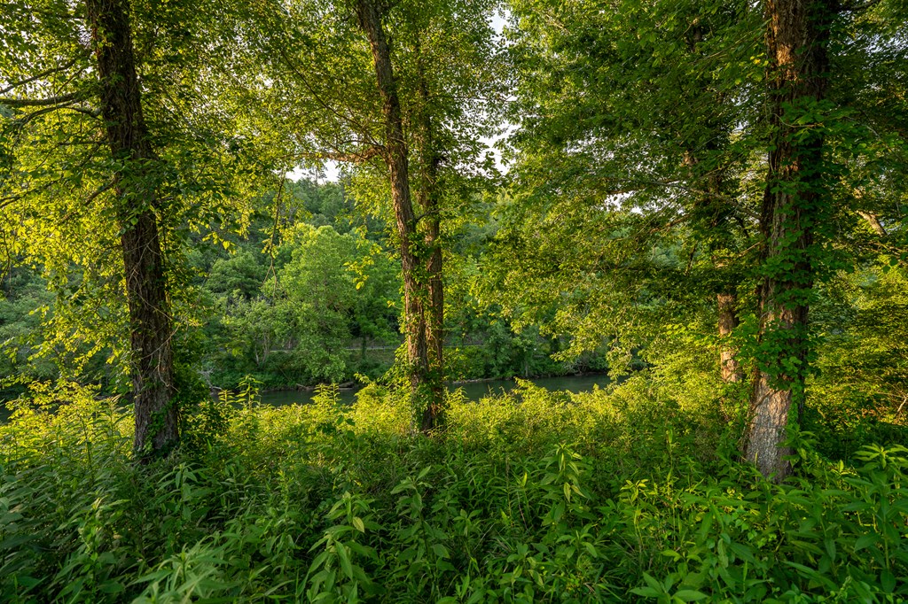 Lot 144 River Farm Drive Property Photo 19