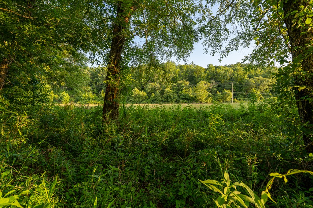 Lot 144 River Farm Drive Property Photo 20