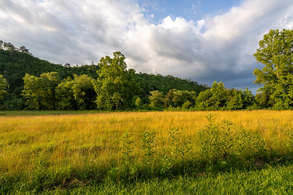 Lot 144 River Farm Drive Property Photo 21