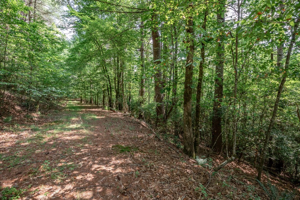 Lot 10 Raper Mill Creek Property Photo 4