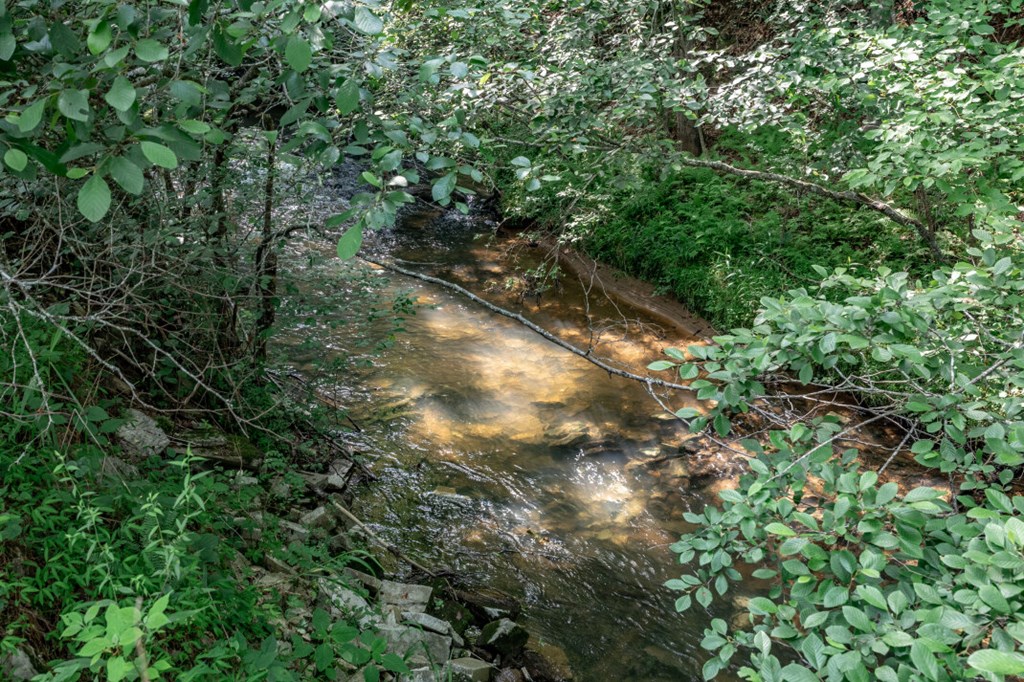 Lot 10 Raper Mill Creek Property Photo 25