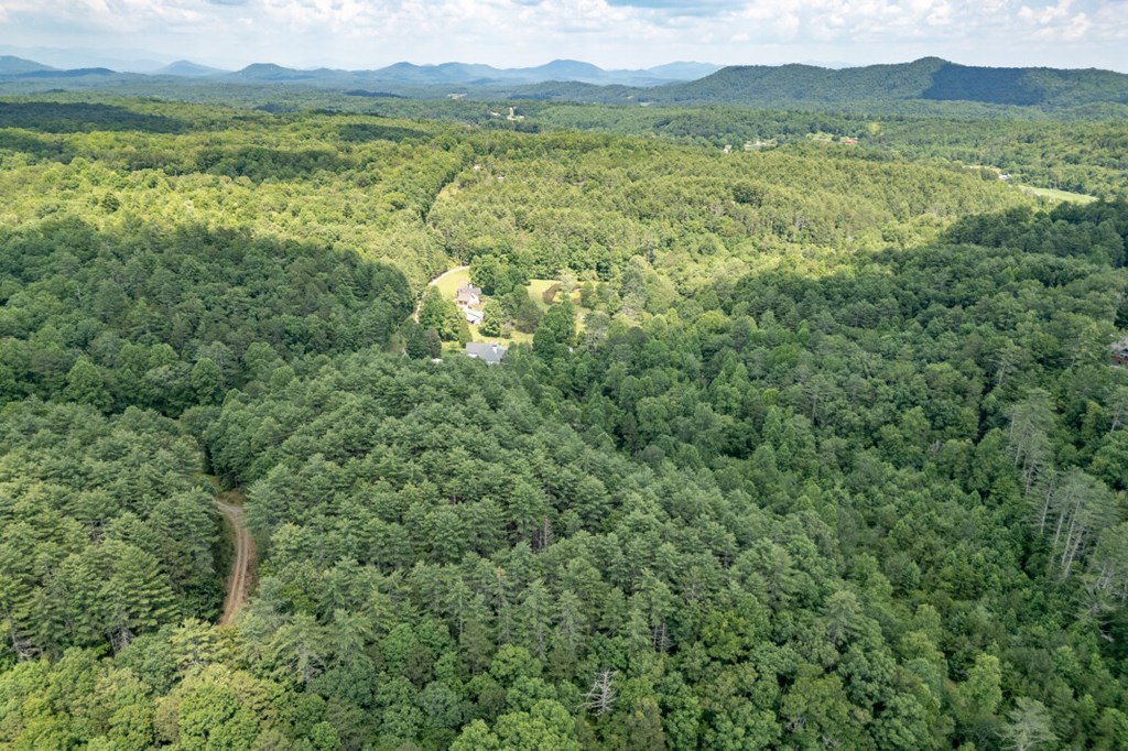 Lot 10 Raper Mill Creek Property Photo 27