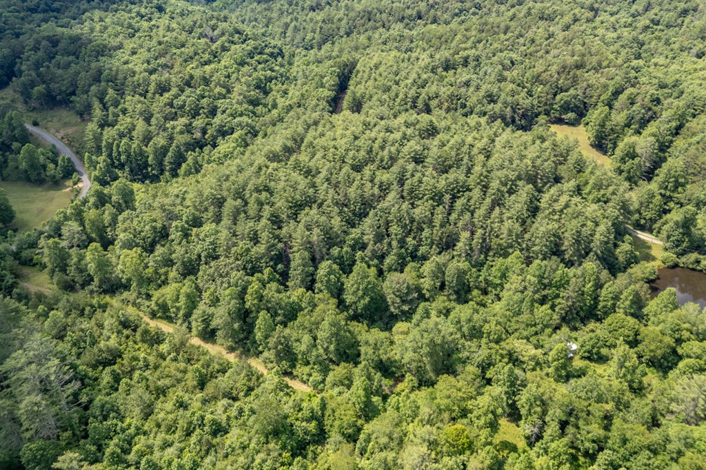 Lot 10 Raper Mill Creek Property Photo 36