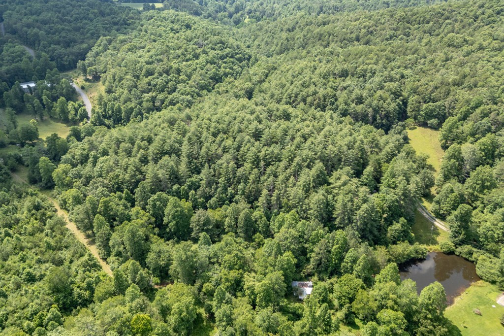 Lot 10 Raper Mill Creek Property Photo 38