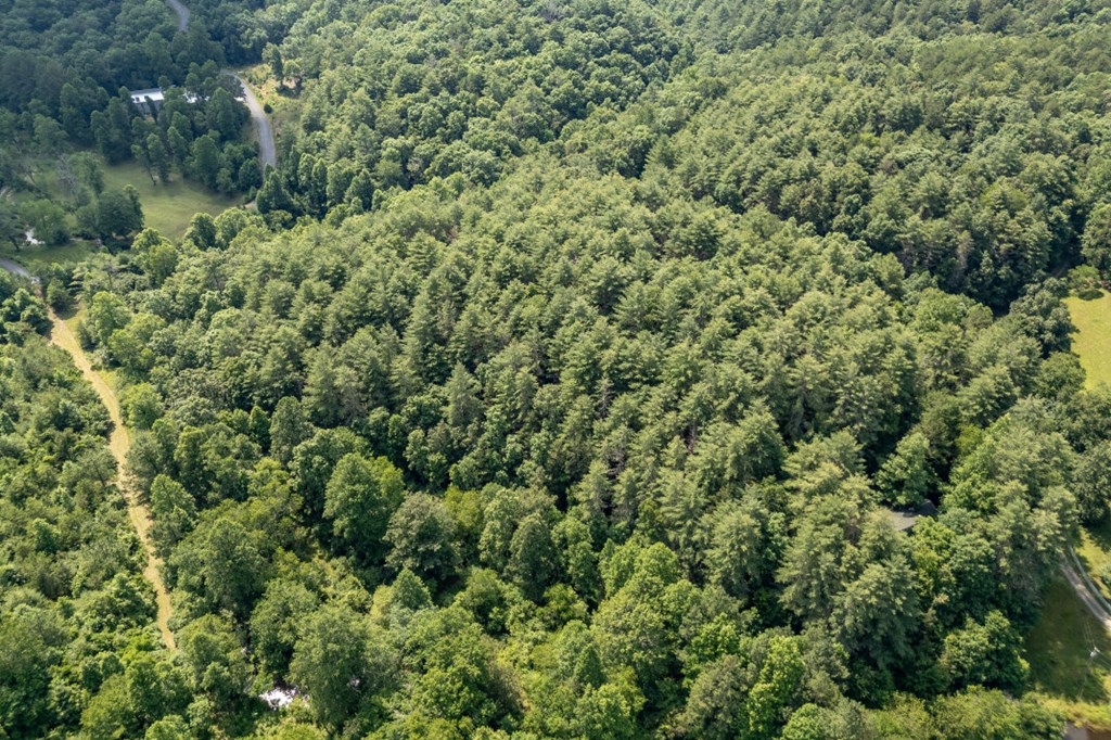 Lot 10 Raper Mill Creek Property Photo 39