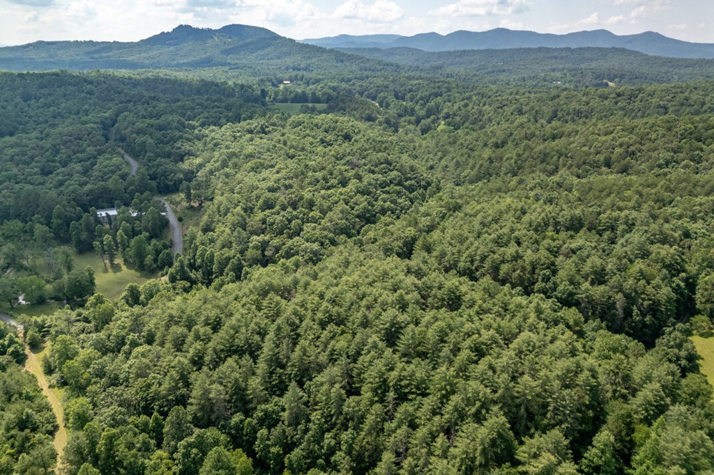 Lot 10 Raper Mill Creek Property Photo 40