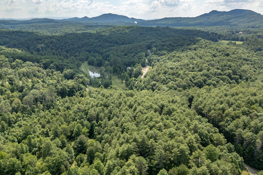 Lot 10 Raper Mill Creek Property Photo 41