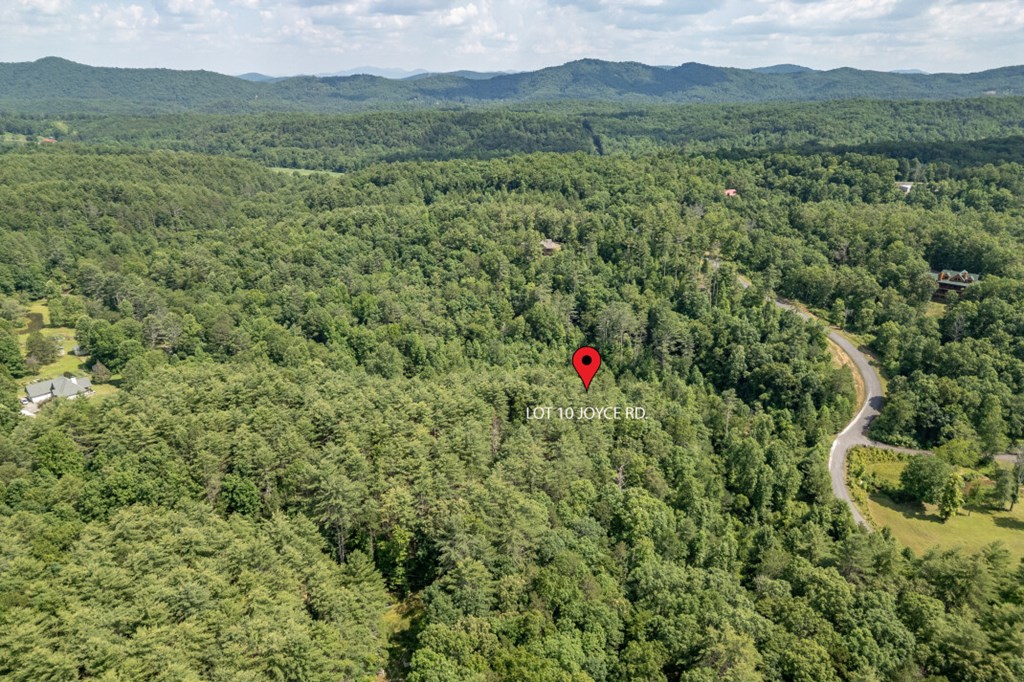 Lot 10 Raper Mill Creek Property Photo 45
