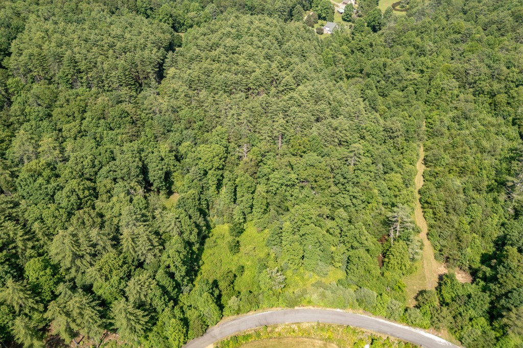 Lot 10 Raper Mill Creek Property Photo 47