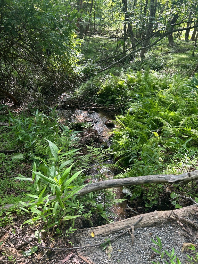 0 E Two Pond Lane Property Photo 2