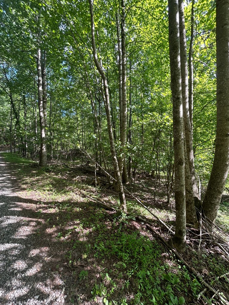 0 E Two Pond Lane Property Photo 6