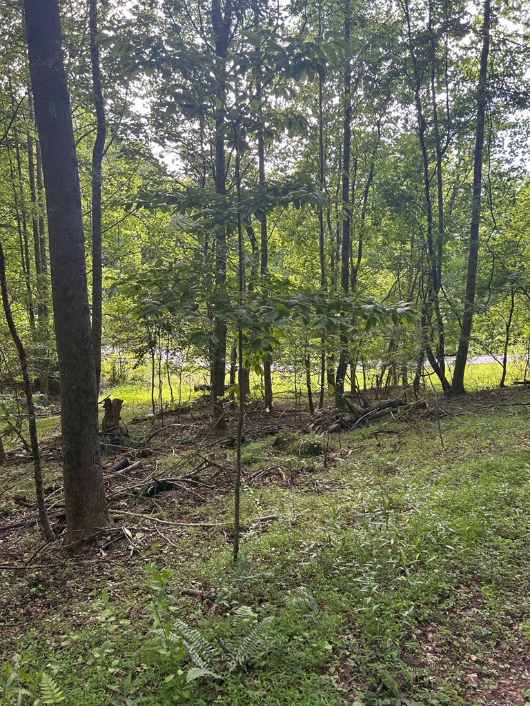 0 E Two Pond Lane Property Photo 7