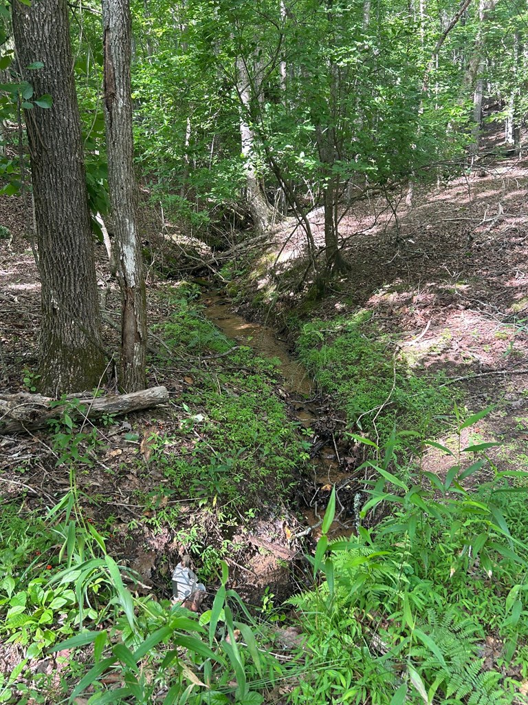 0 E Two Pond Lane Property Photo 8