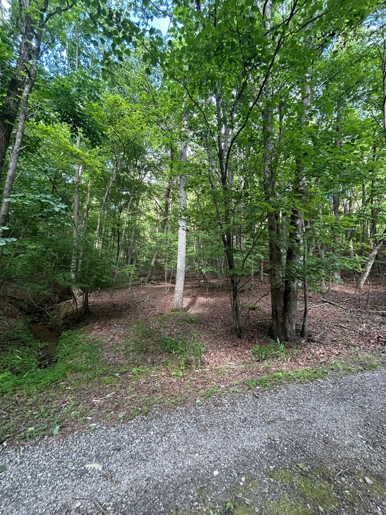 0 E Two Pond Lane Property Photo 9