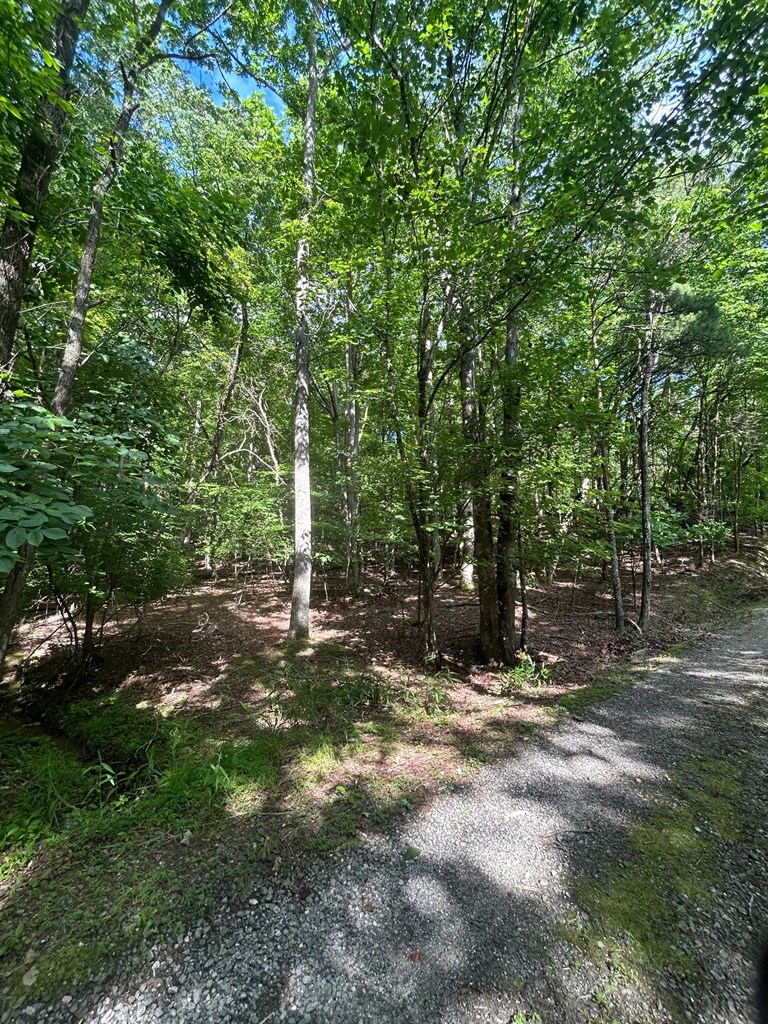 0 E Two Pond Lane Property Photo 10