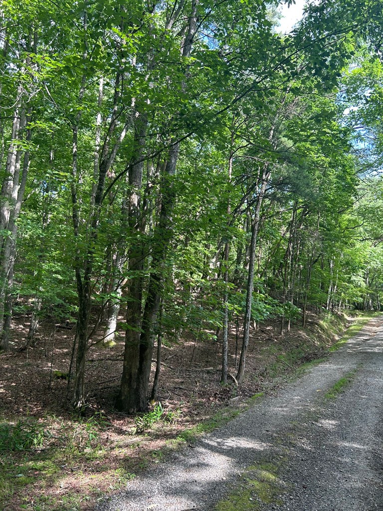 0 E Two Pond Lane Property Photo 11