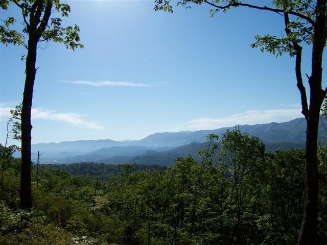 850 Bluff Road Property Photo 3
