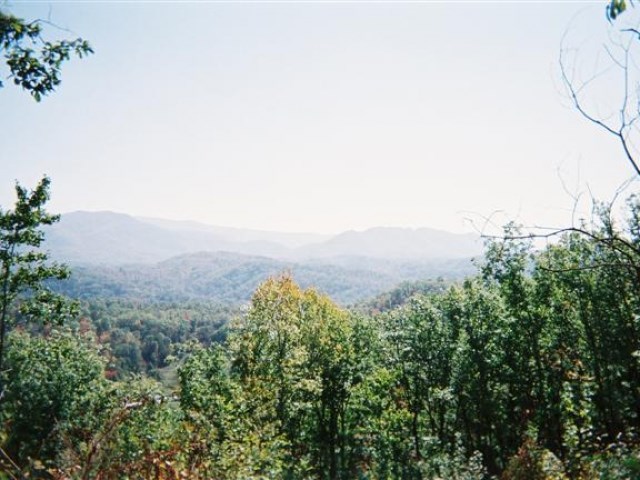 850 Bluff Road Property Photo 4