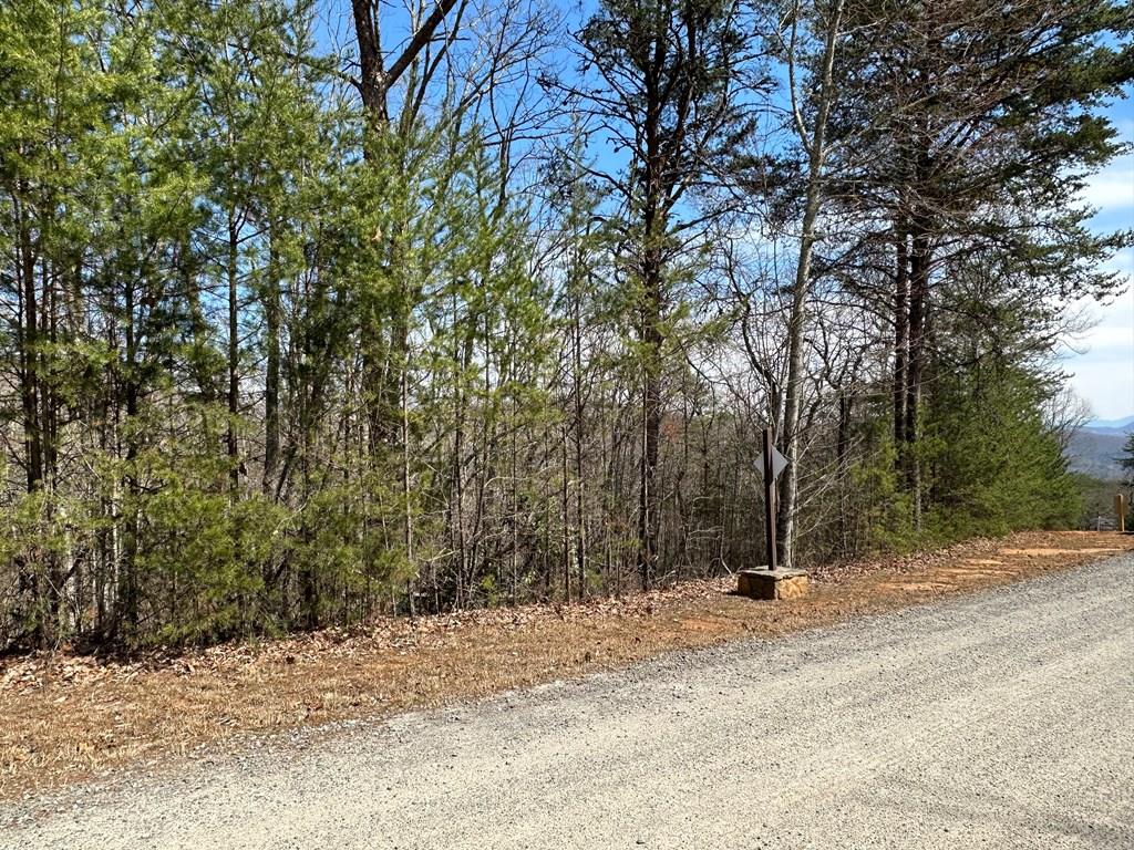 LT29 Wilderness Creek Way Property Photo 1
