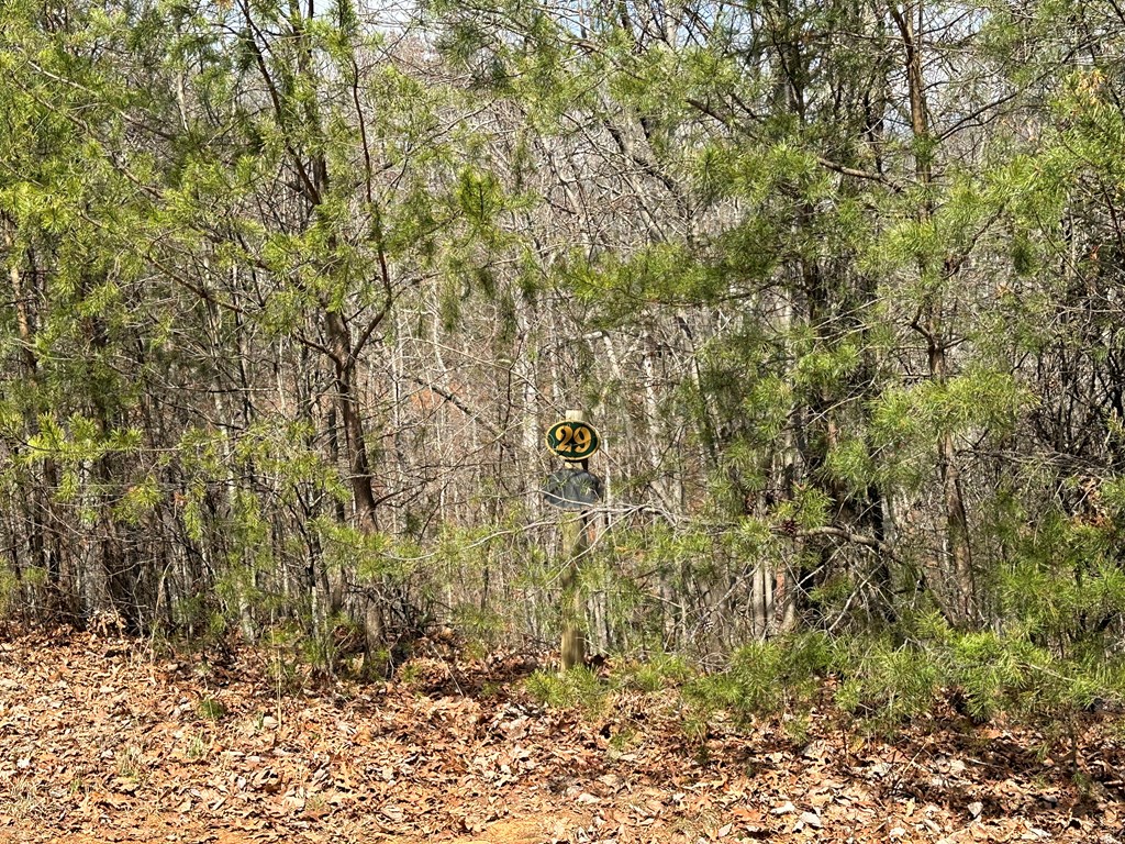 Lt29 Wilderness Creek Way Property Photo 5