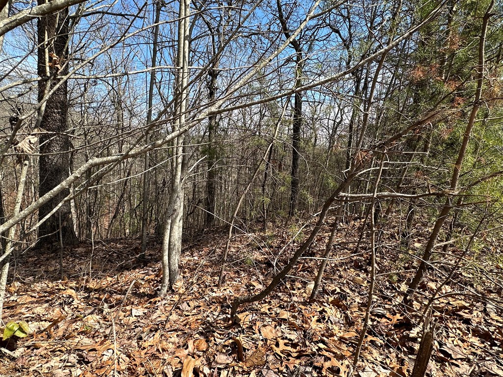 Lt29 Wilderness Creek Way Property Photo 6