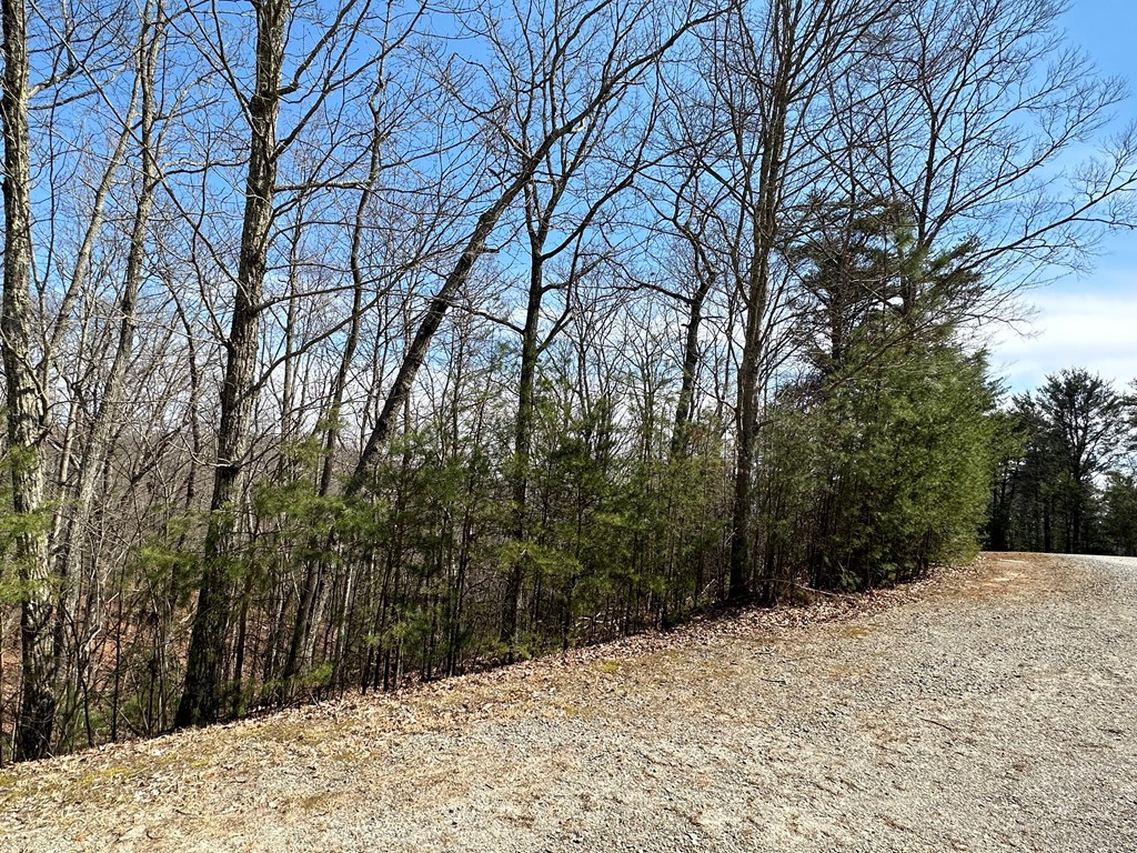 Lt29 Wilderness Creek Way Property Photo 7