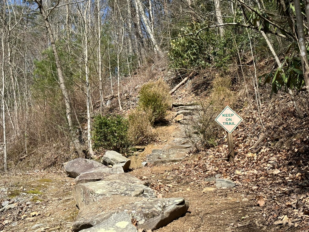 Lt29 Wilderness Creek Way Property Photo 15