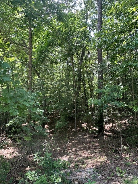 Lot 208 Boulder Creek Road Property Photo 2