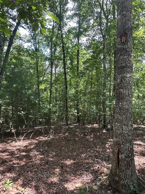 Lot 208 Boulder Creek Road Property Photo 3