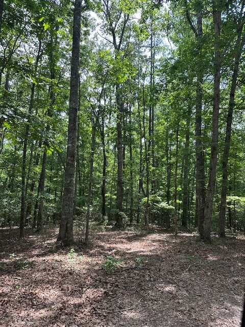 Lot 208 Boulder Creek Road Property Photo 4