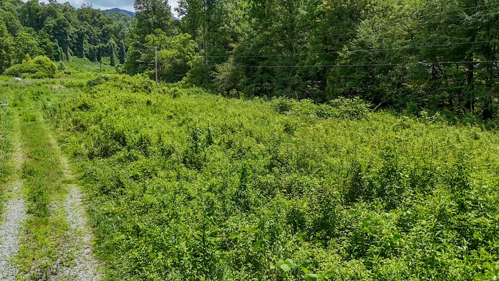 3991 Boiling Springs Rd Property Photo 5