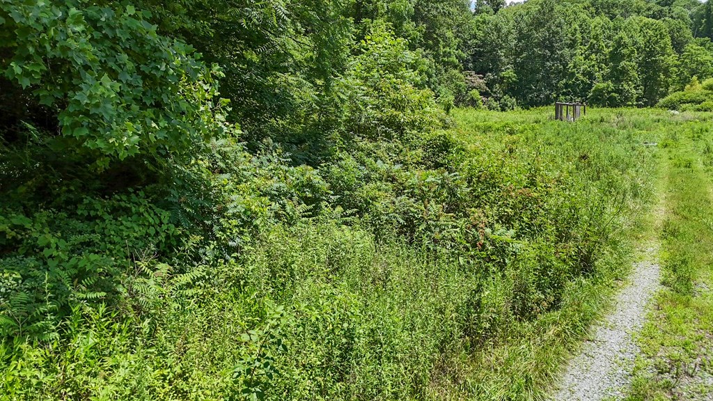 3991 Boiling Springs Rd Property Photo 6