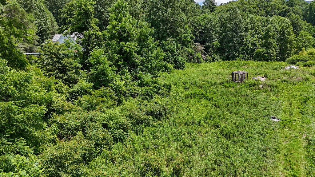 3991 Boiling Springs Rd Property Photo 7