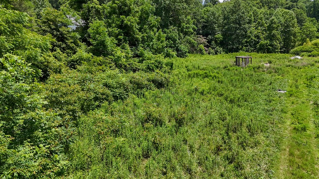 3991 Boiling Springs Rd Property Photo 27