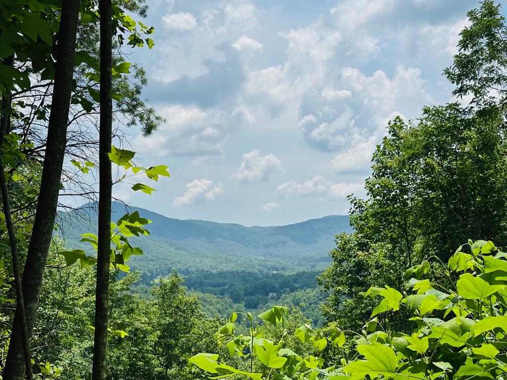 Lot 13 View Ridge Trail Property Photo 1
