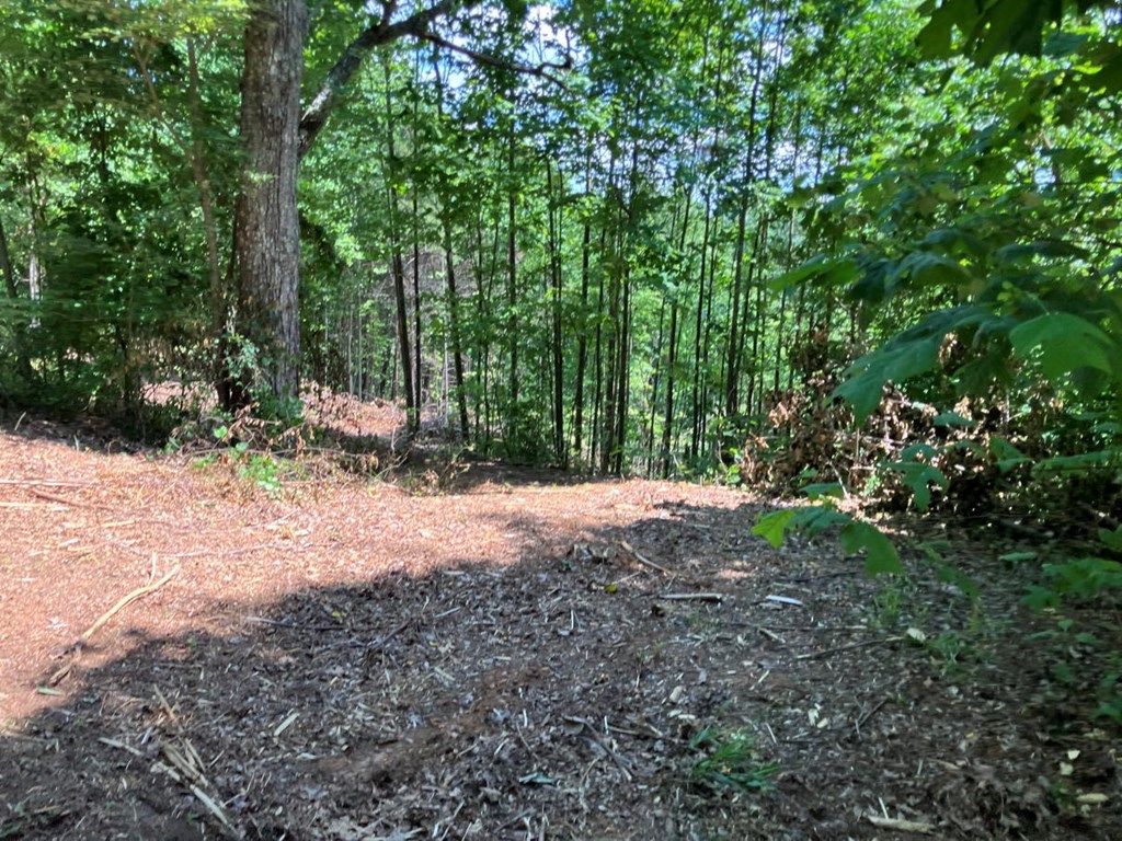 Lot 13 View Ridge Trail Property Photo 2