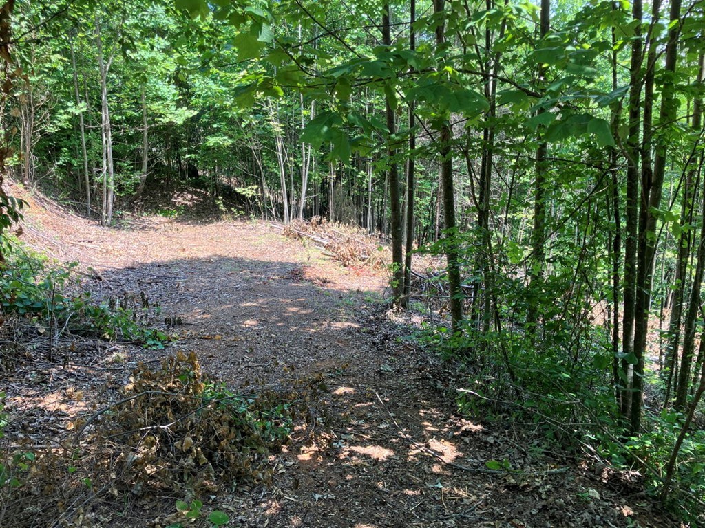 Lot 13 View Ridge Trail Property Photo 3