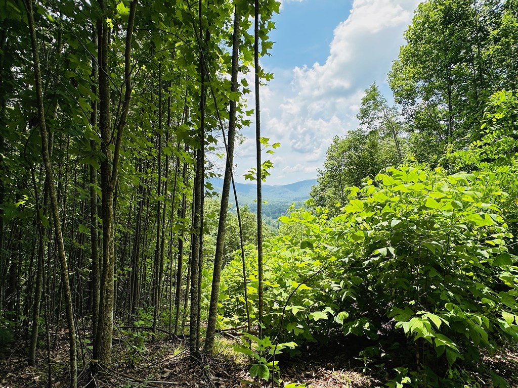 Lot 13 View Ridge Trail Property Photo 4