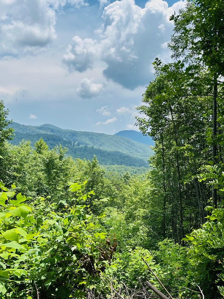Lot 13 View Ridge Trail Property Photo 5