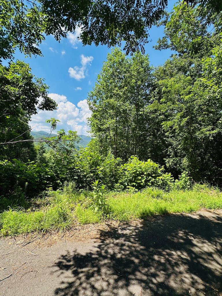Lot 13 View Ridge Trail Property Photo 6