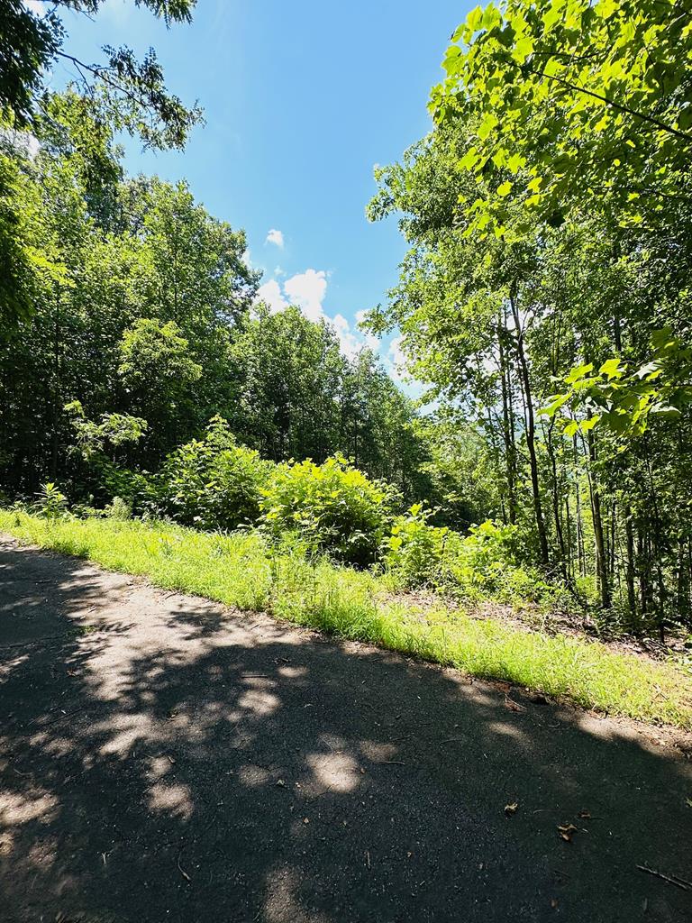 Lot 13 View Ridge Trail Property Photo 7
