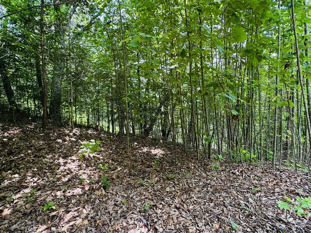 Lot 13 View Ridge Trail Property Photo 8