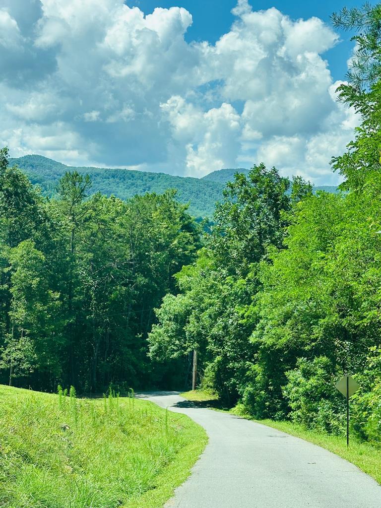 Lot 13 View Ridge Trail Property Photo 11