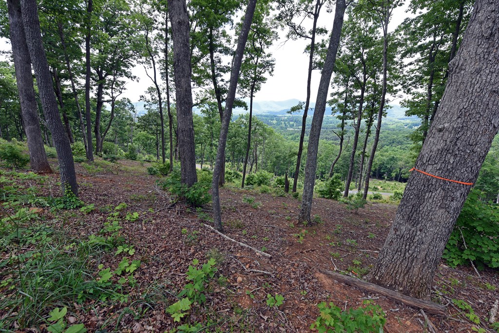 Lot 112 Highland Park Property Photo 2