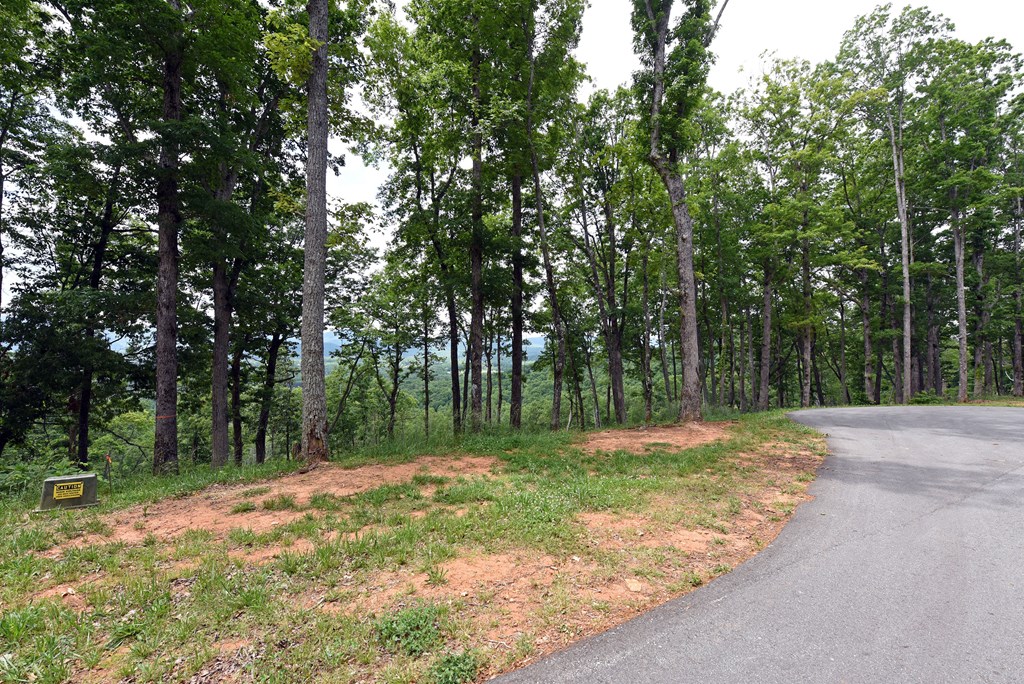 Lot 112 Highland Park Property Photo 7