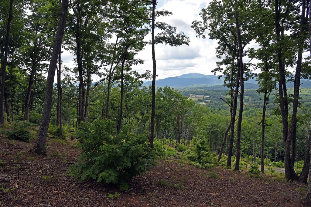 Lot 112 Highland Park Property Photo 10